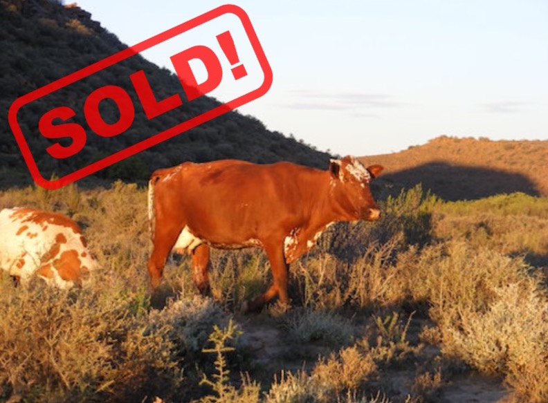 sold